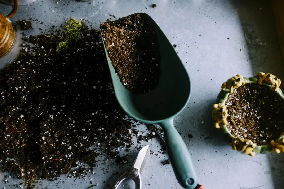 planting time